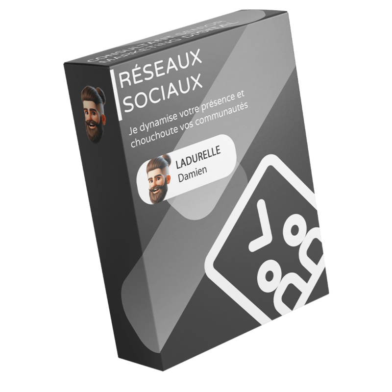 Gestion des réseaux sociaux - LADURELLE Damien - Consultant marketing - Produit